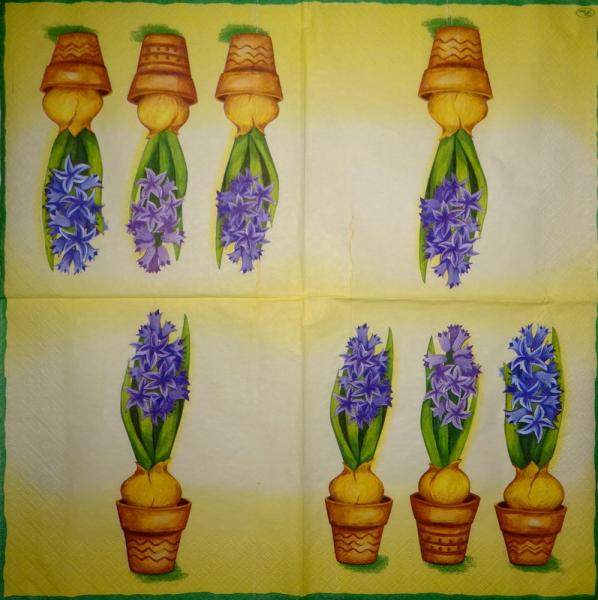 028 Narzissen, Hyazinthen, Maigl�ckchen, Krokus